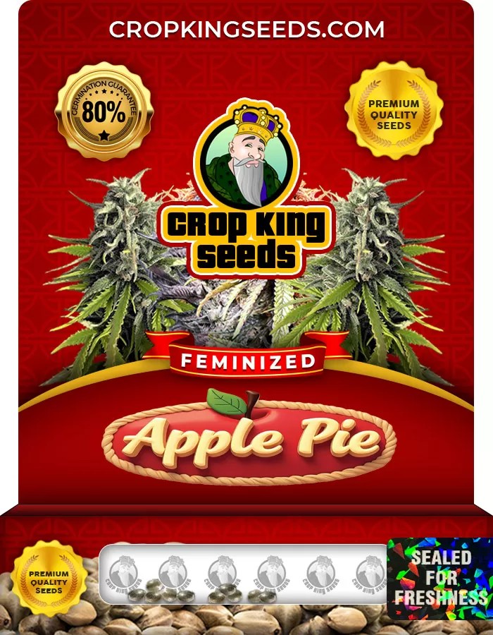 Apple Pie Feminized Marijuana Seeds