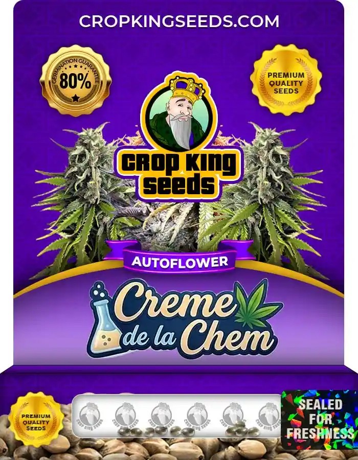 Creme de la Chem Autoflower Seeds