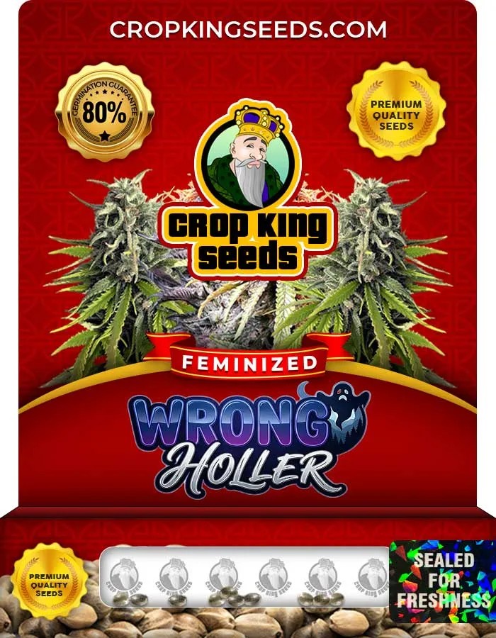 Wrong Holler Strain Feminized Seeds