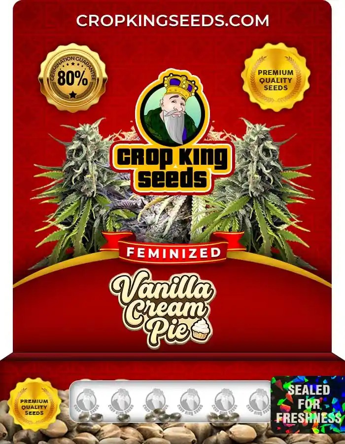 Vanilla Cream Pie Strain Feminized Marijuana Seeds