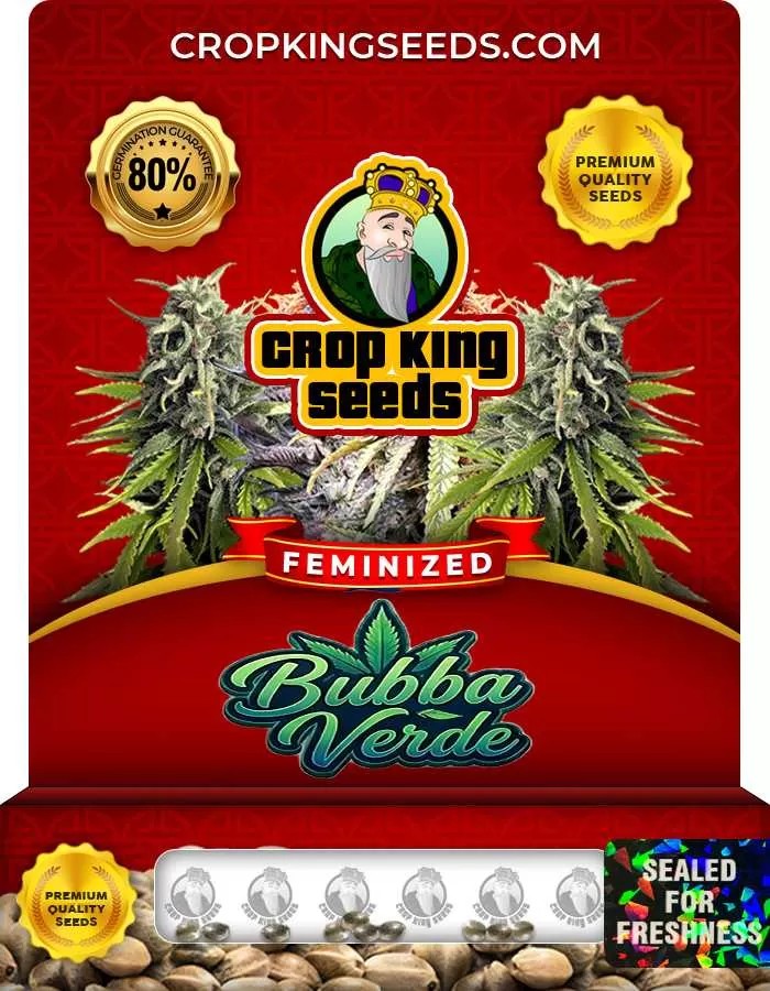 Bubba Verde Strain Feminized Seeds