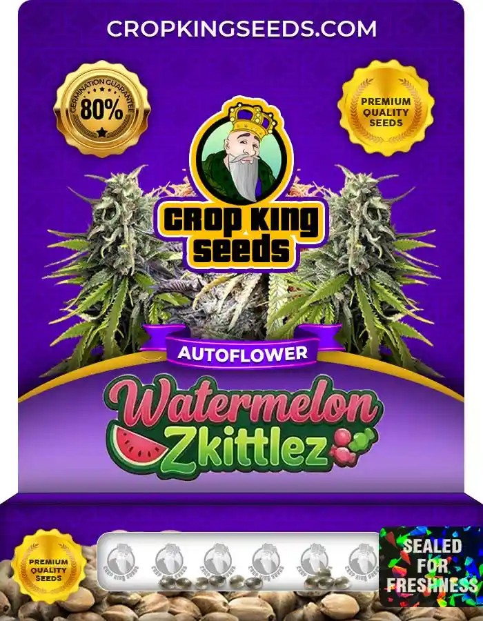 Watermelon Zkittlez Autoflower Seeds