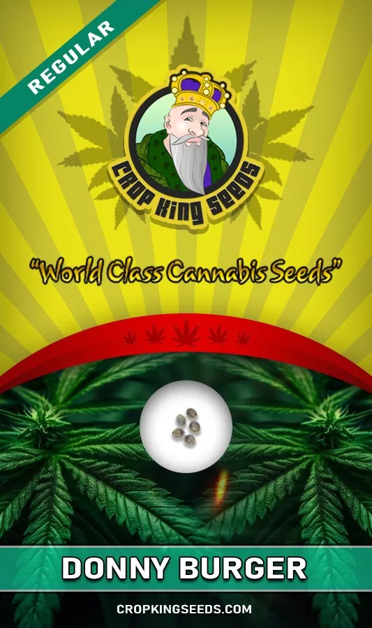 Donny Burger Strain Regular Marijuana Seeds