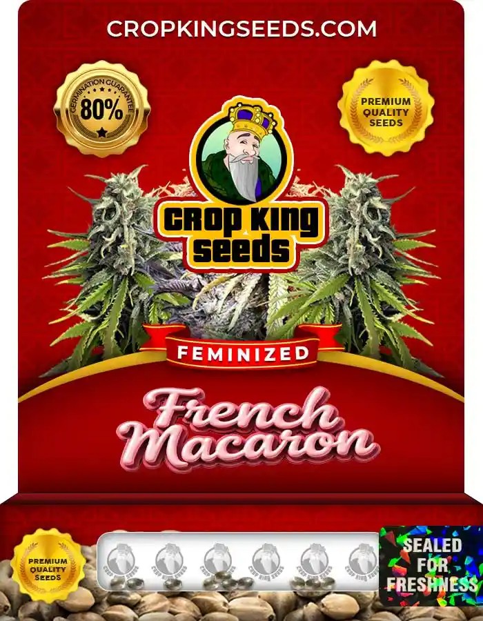 French Macaron Feminized Seeds