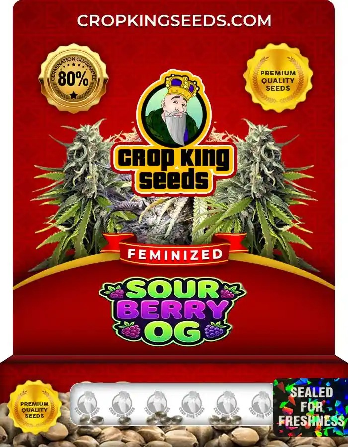 Sour Berry OG Strain Feminized Marijuana Seeds