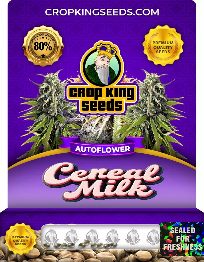 Cereal Milk Autoflowering Marijuana Seeds