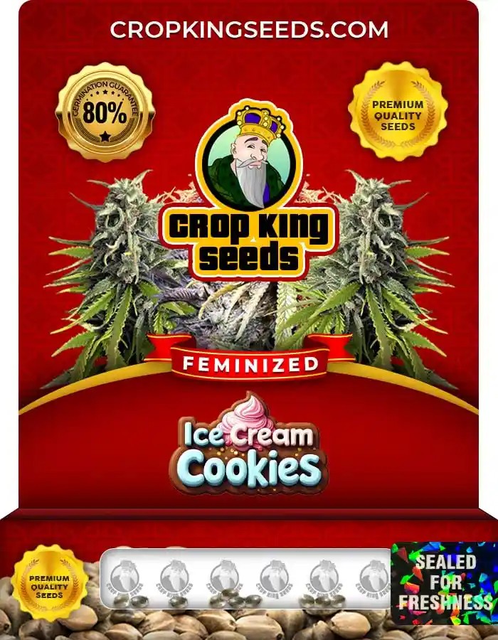 Ice Cream Cookies Strain Feminized Marijuana Seeds