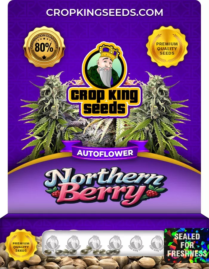 Northern Berry Autoflower Marijuana Seeds