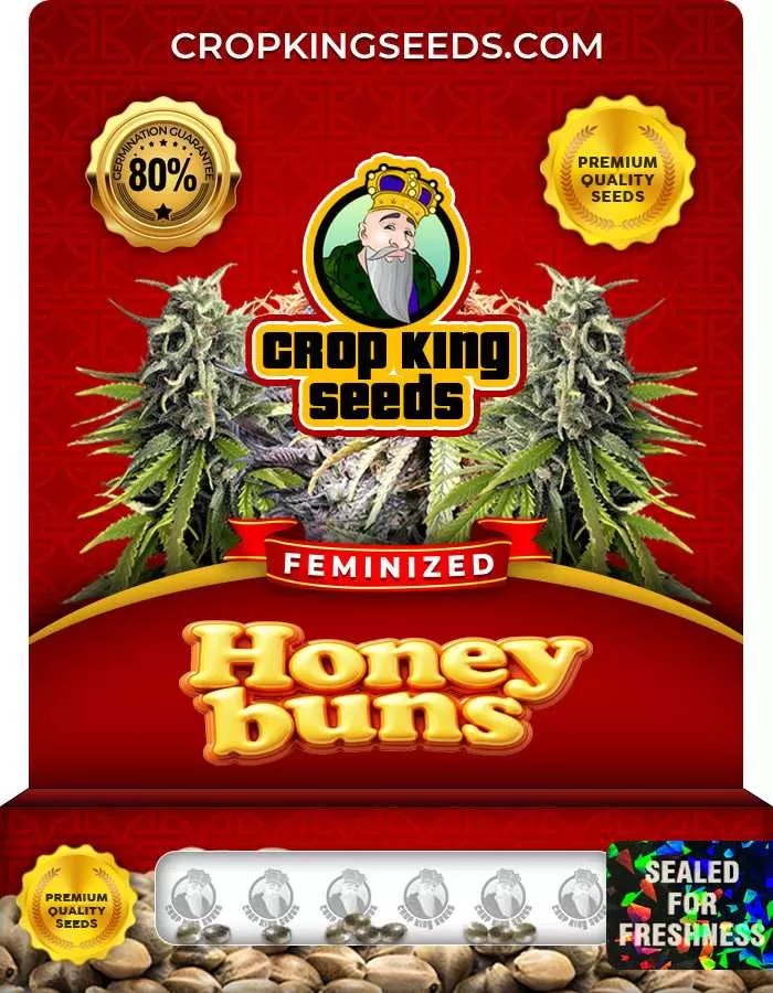 Honey Buns Strain Feminized Marijuana Seeds