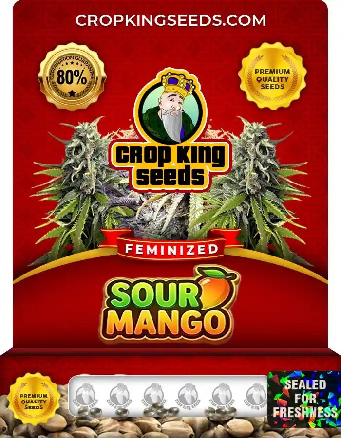 Sour Mango Strain Feminized Seeds