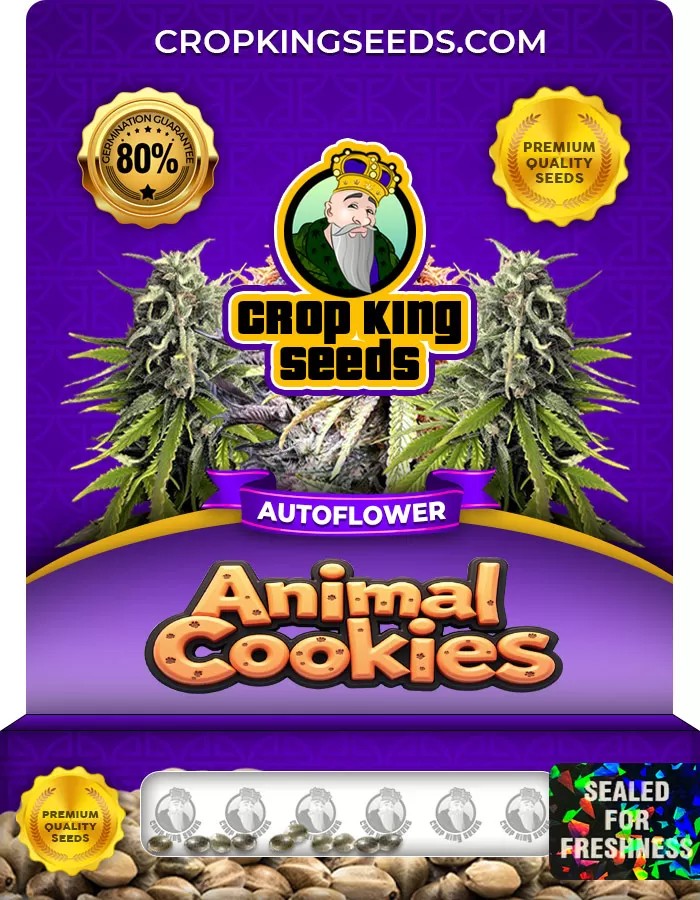 Animal Cookies Autoflowering Marijuana Seeds