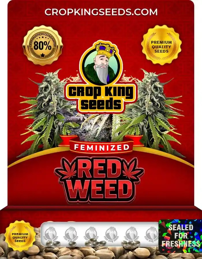 Red Weed Feminized Seeds