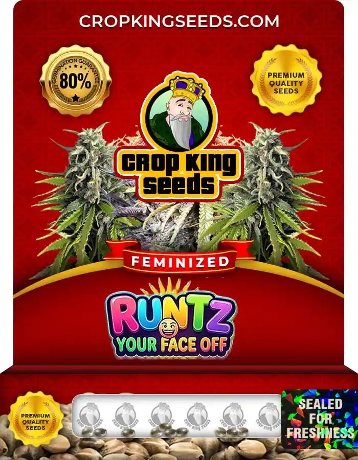 Runtz Your Face Off Strain Feminized Marijuana Seeds