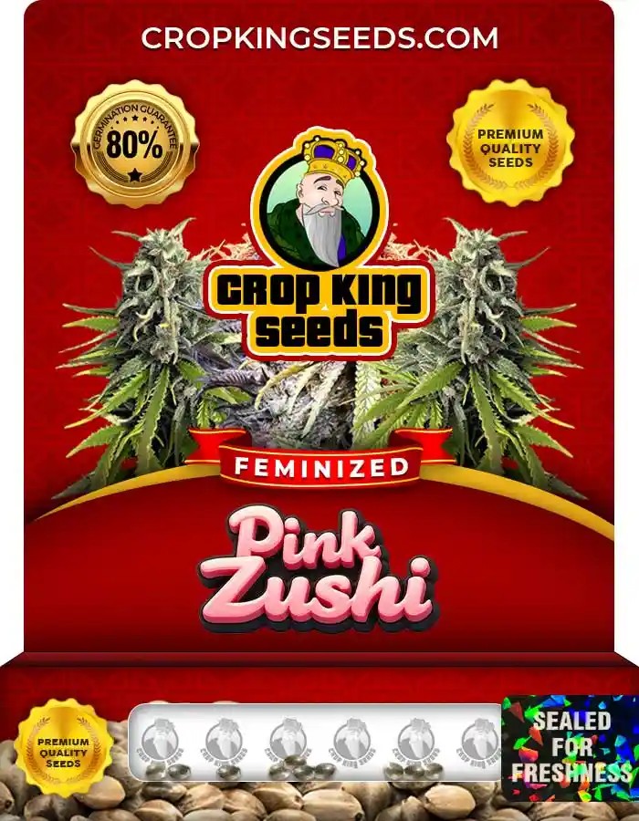 Pink Zushi Strain Feminized Marijuana Seeds