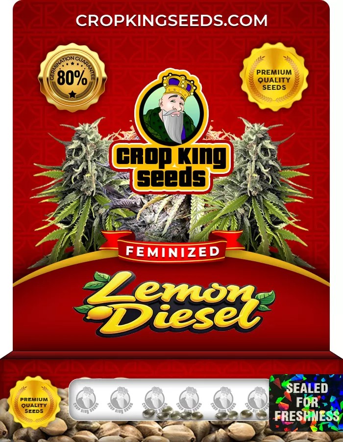 Lemon Diesel Feminized Marijuana Seeds