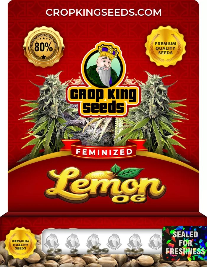 Lemon OG Feminized Marijuana Seeds