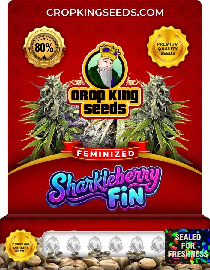 Sharkleberry Fin Strain Feminized Seeds