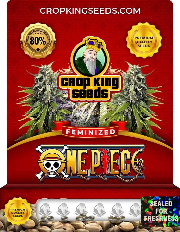 One Piece Strain Feminized Seeds