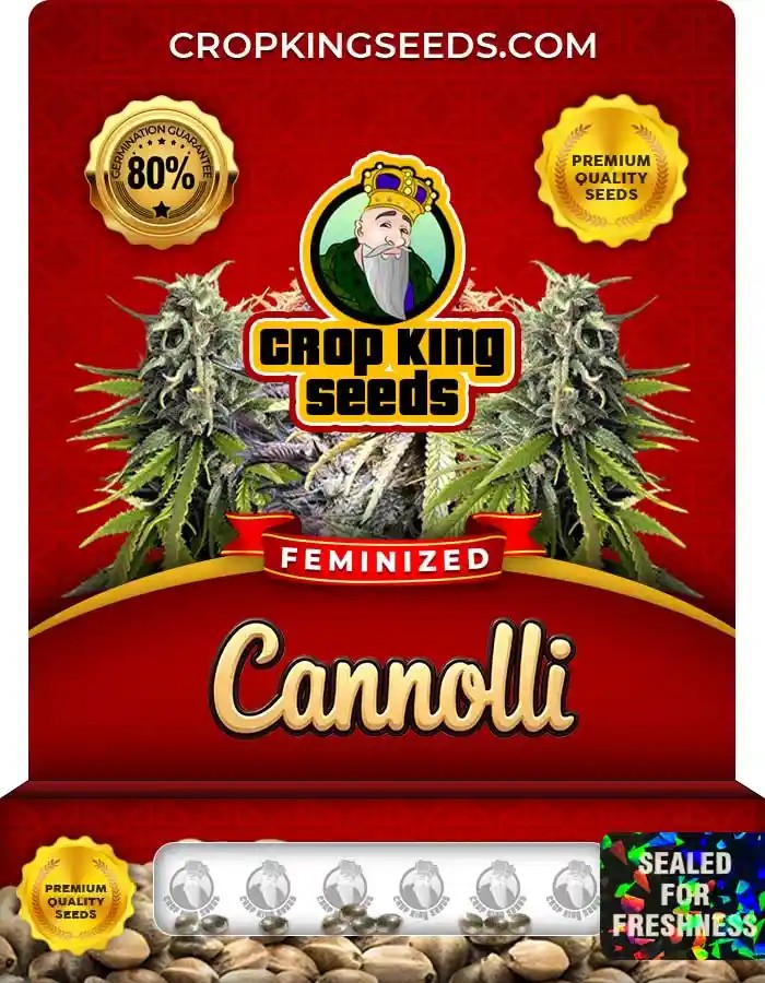 Cannoli Feminized Seeds