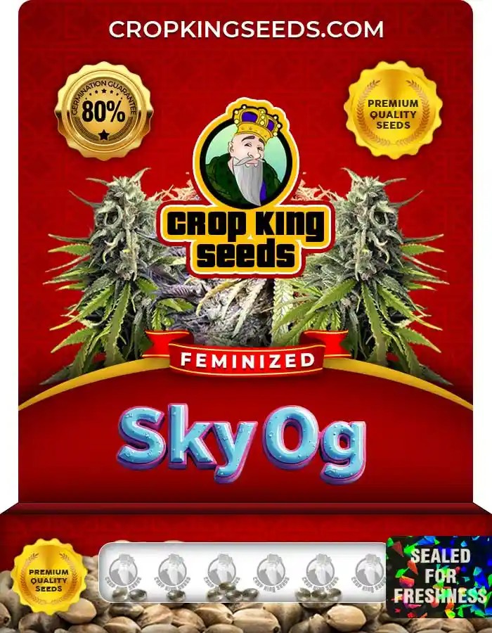 Sky OG Feminized Seeds