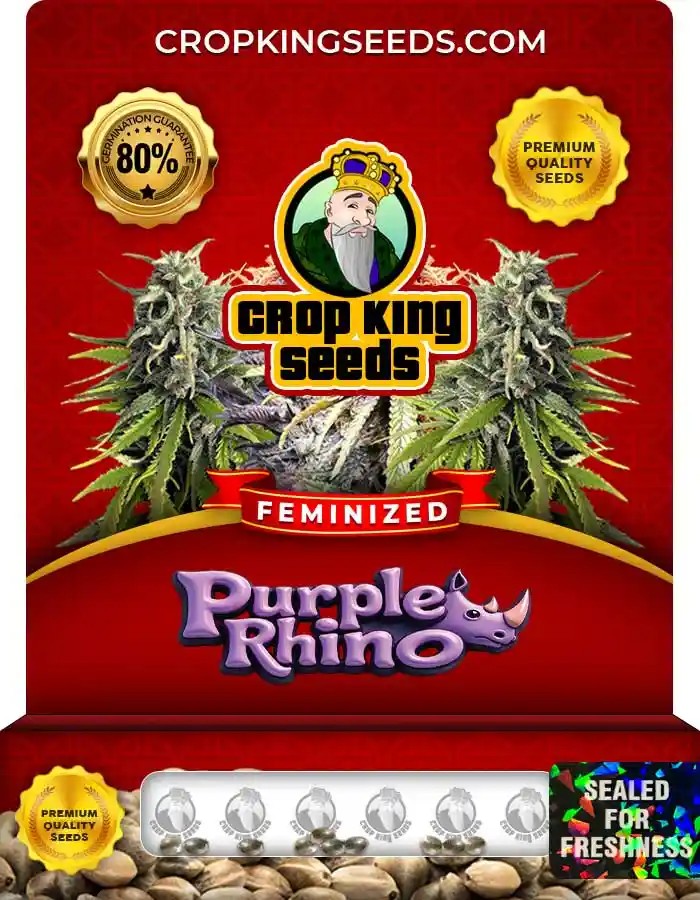 Purple Rhino Feminized Seeds