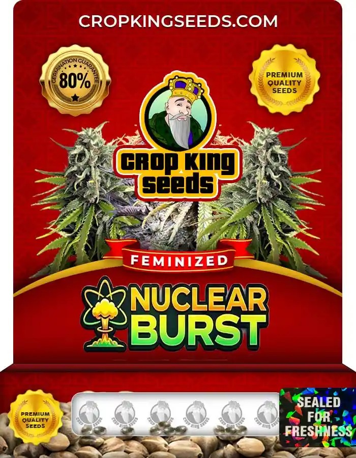 Nuclear Burst Strain Feminized Seeds