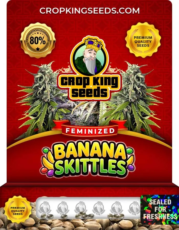 Banana Skittles Strain Feminized Seeds