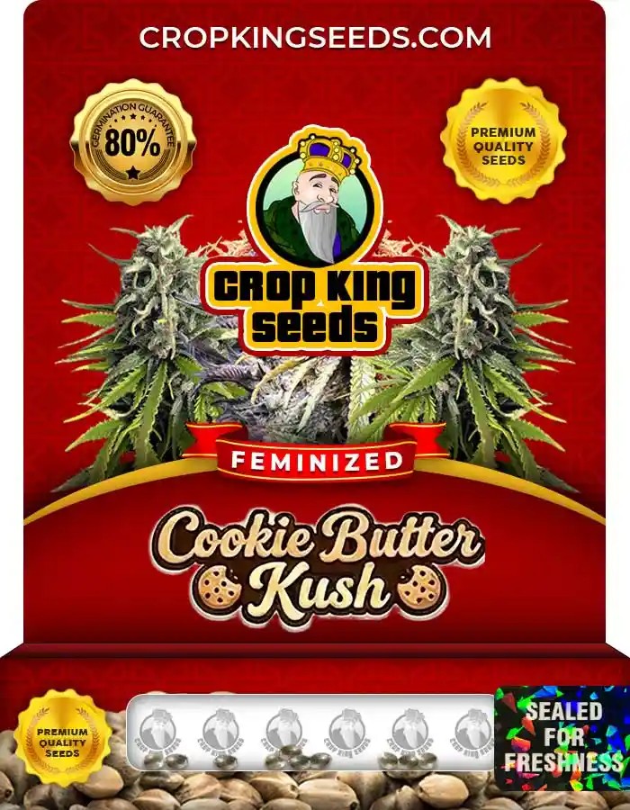 Cookie Butter Kush Feminized Seeds