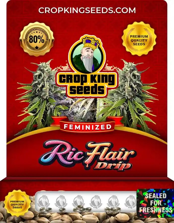 Ric Flair Drip Strain Feminized Seeds