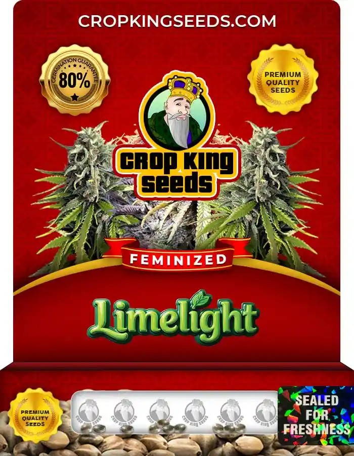 Limelight Feminized Seeds