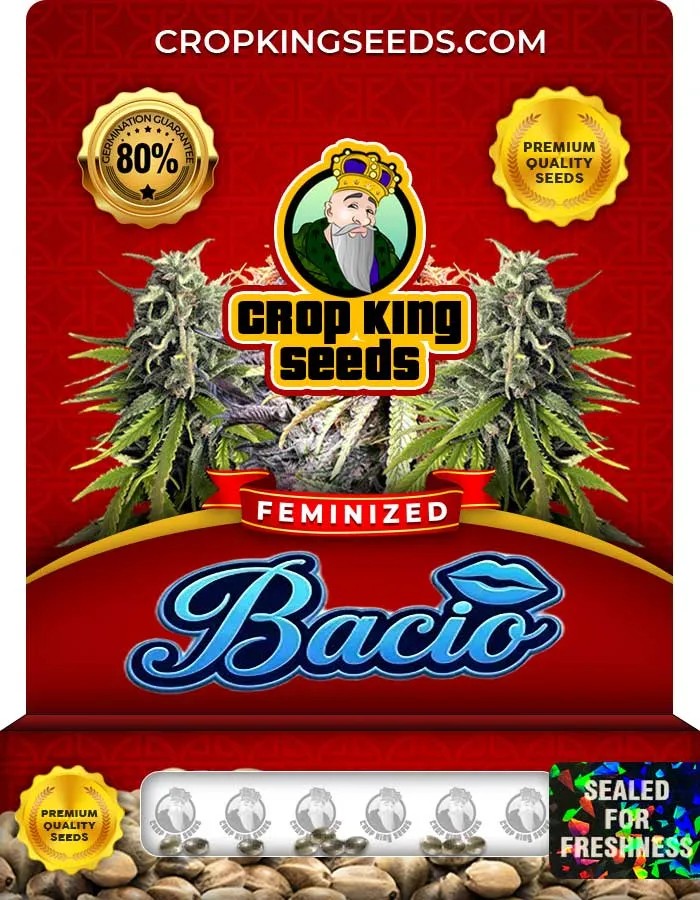 Bacio Strain Feminized Seeds
