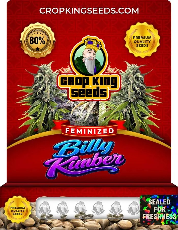 Billy Kimber Strain Feminized Seeds