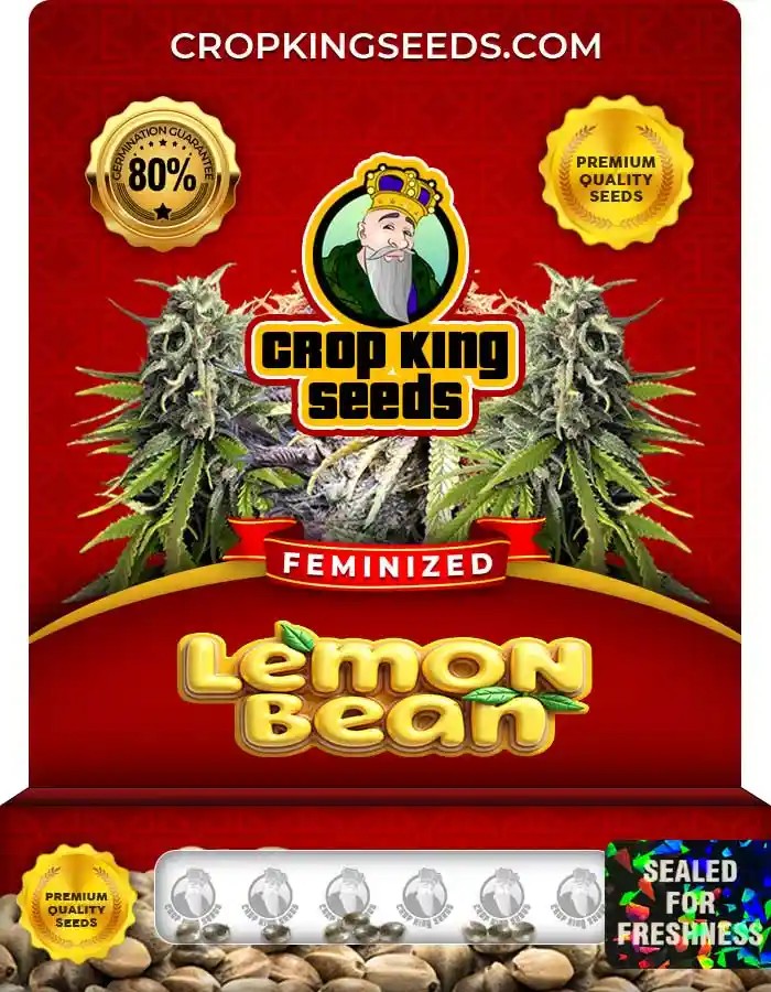 Lemon Bean Strain Feminized Marijuana Seeds