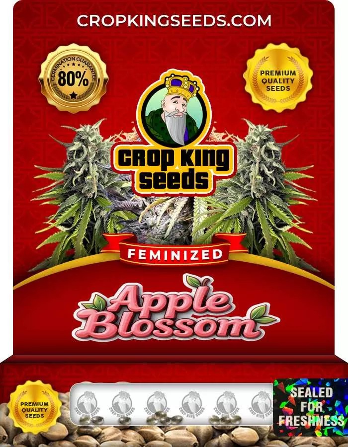 Apple Blossom Strain Feminized Marijuana Seeds