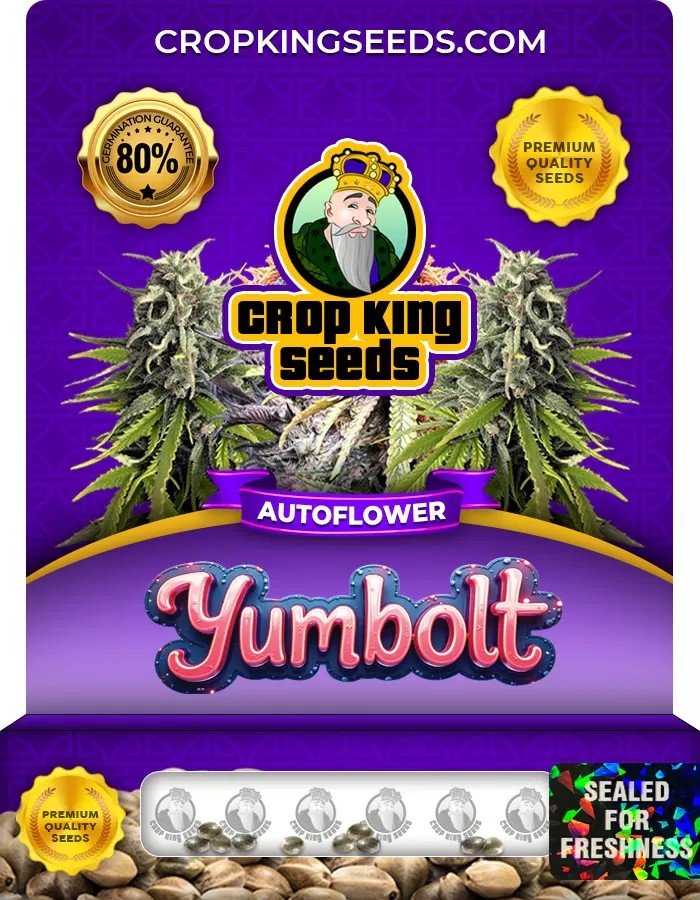 Yumbolt Autoflower Marijuana Seeds