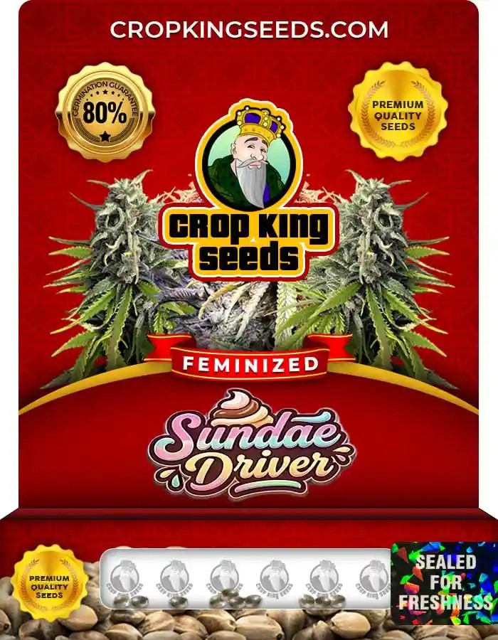 Sundae Driver Strain Feminized Seeds