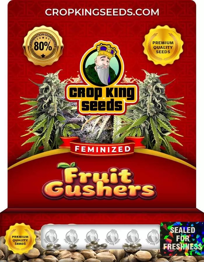 Fruit Gushers Strain Feminized Marijuana Seeds
