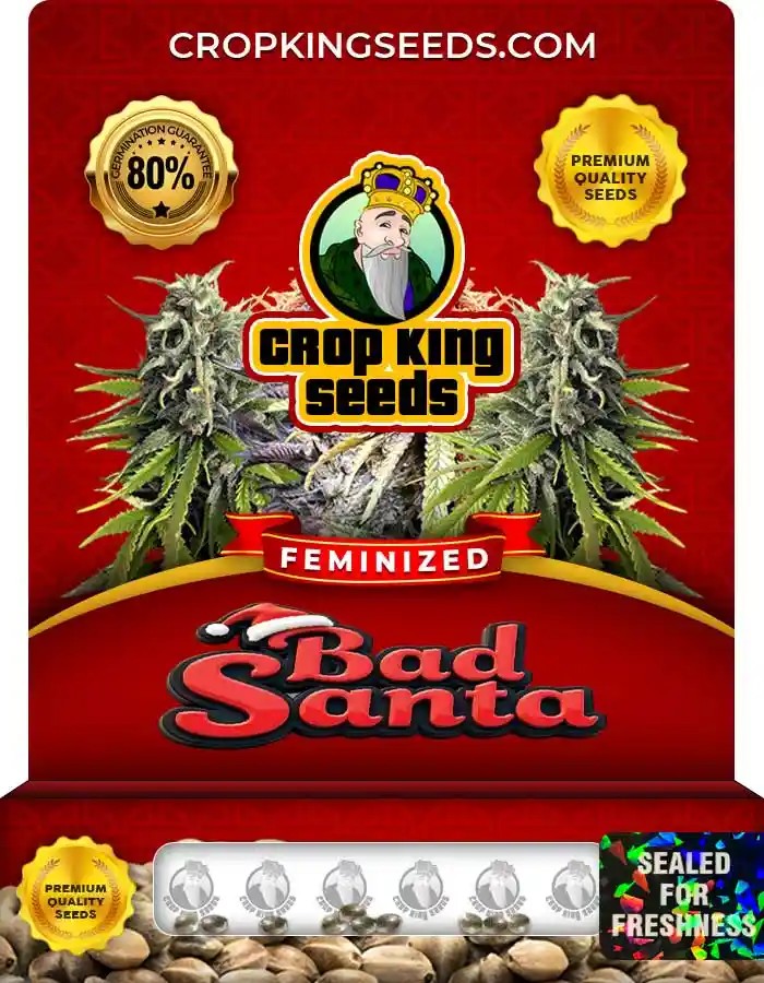Bad Santa Feminized Seeds