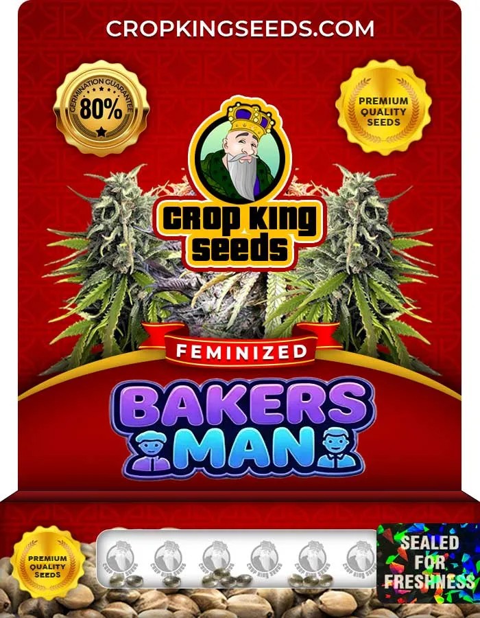 Bakers Man Strain Feminized Seeds