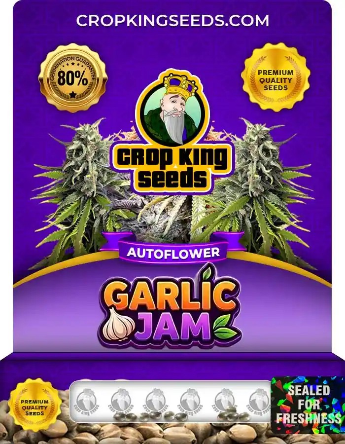 Garlic Jam Autoflower Seeds