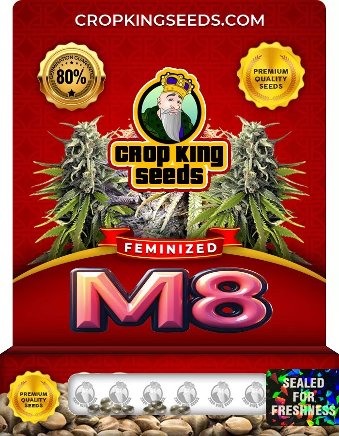 M8 Feminized Marijuana Seeds