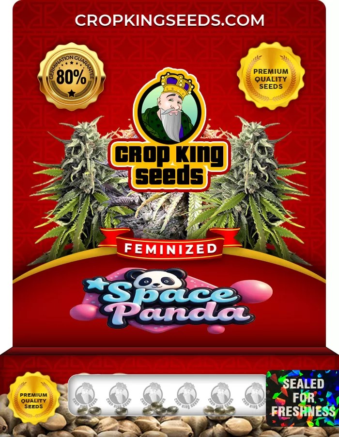 Space Panda Strain Feminized Marijuana Seeds