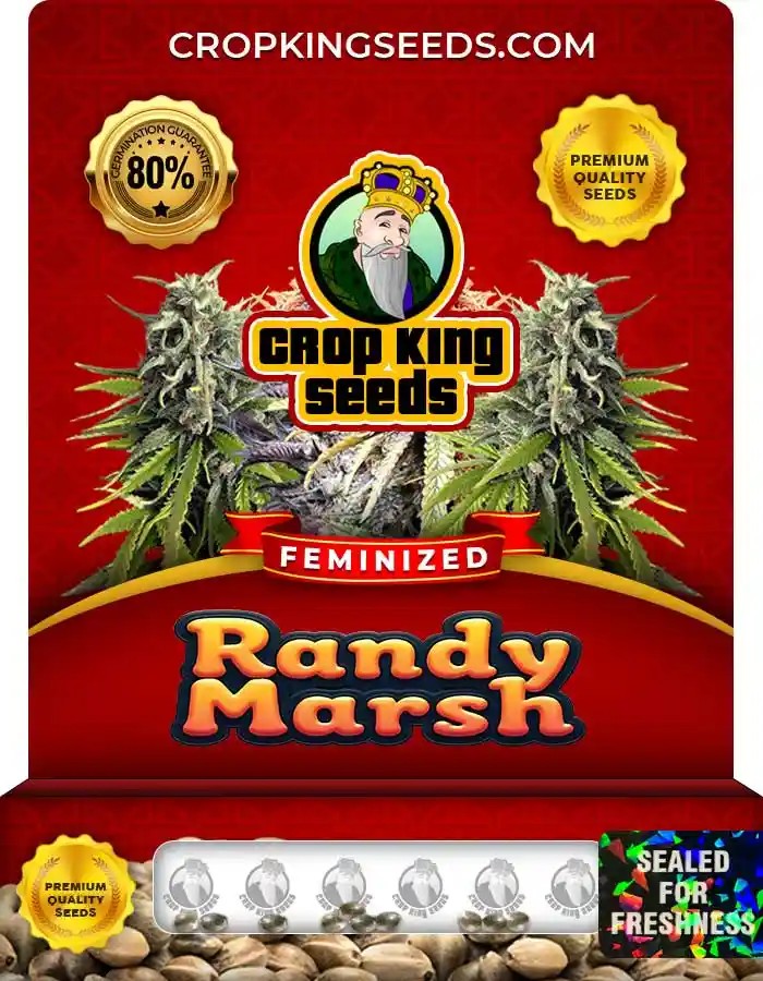Randy Marsh Feminized Seeds