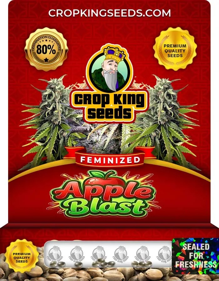 Apple Blast Strain Feminized Seeds