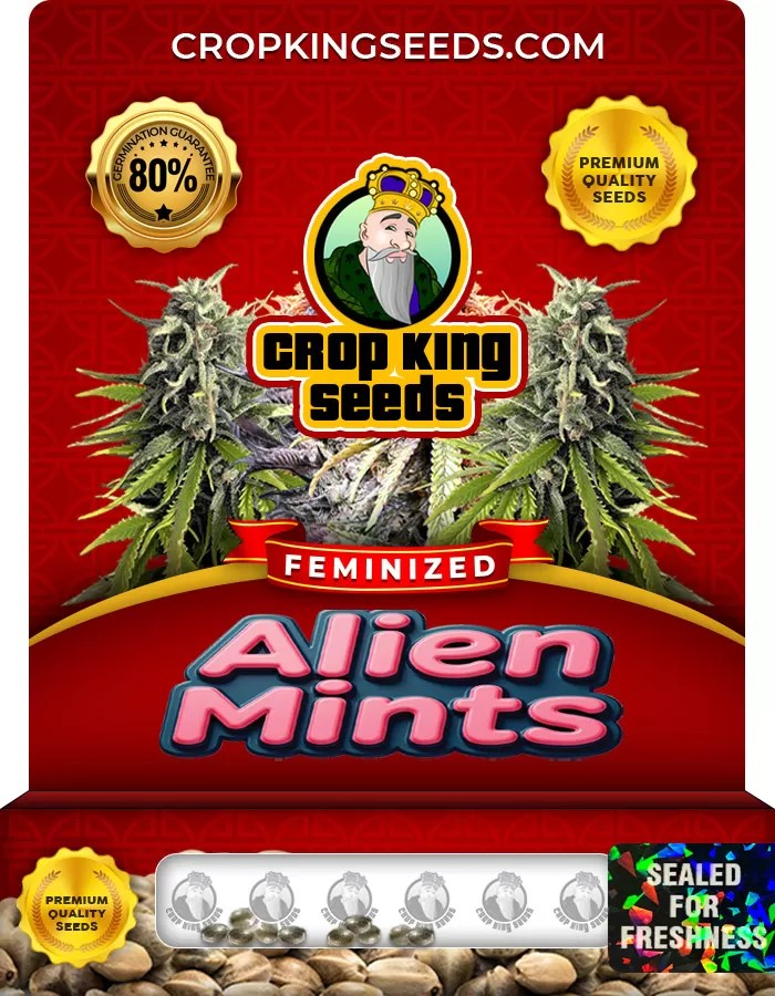 Alien Mints Feminized Marijuana Seeds