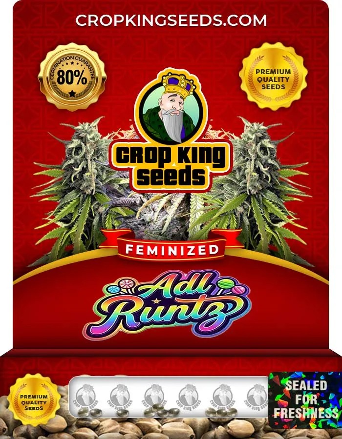 Adl Runtz Strain Feminized Seeds