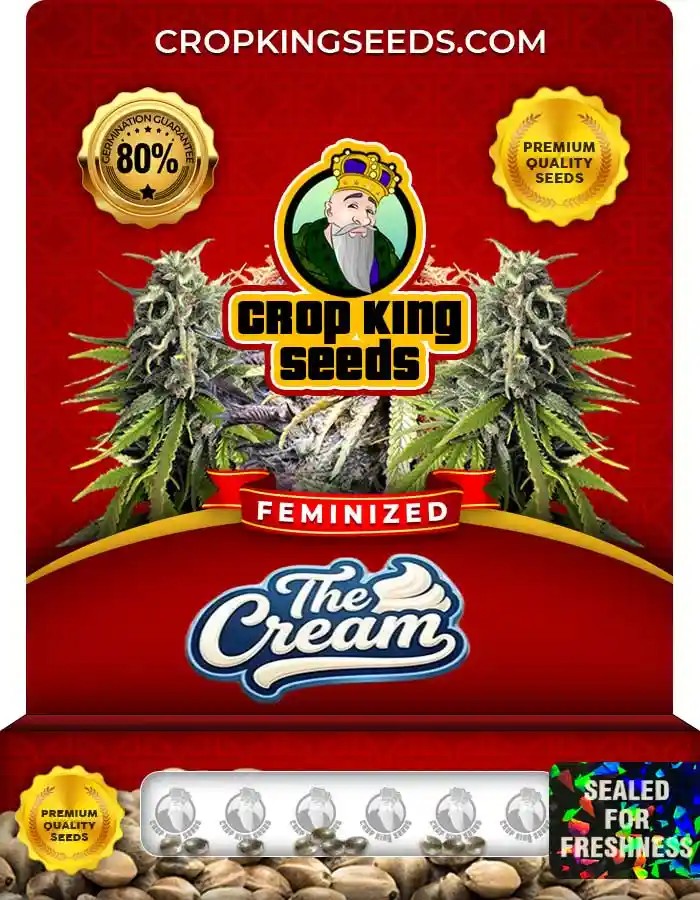 The Cream Strain Feminized Seeds