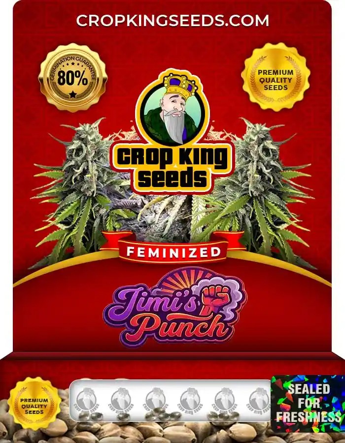 Jimi’s Punch Feminized Seeds