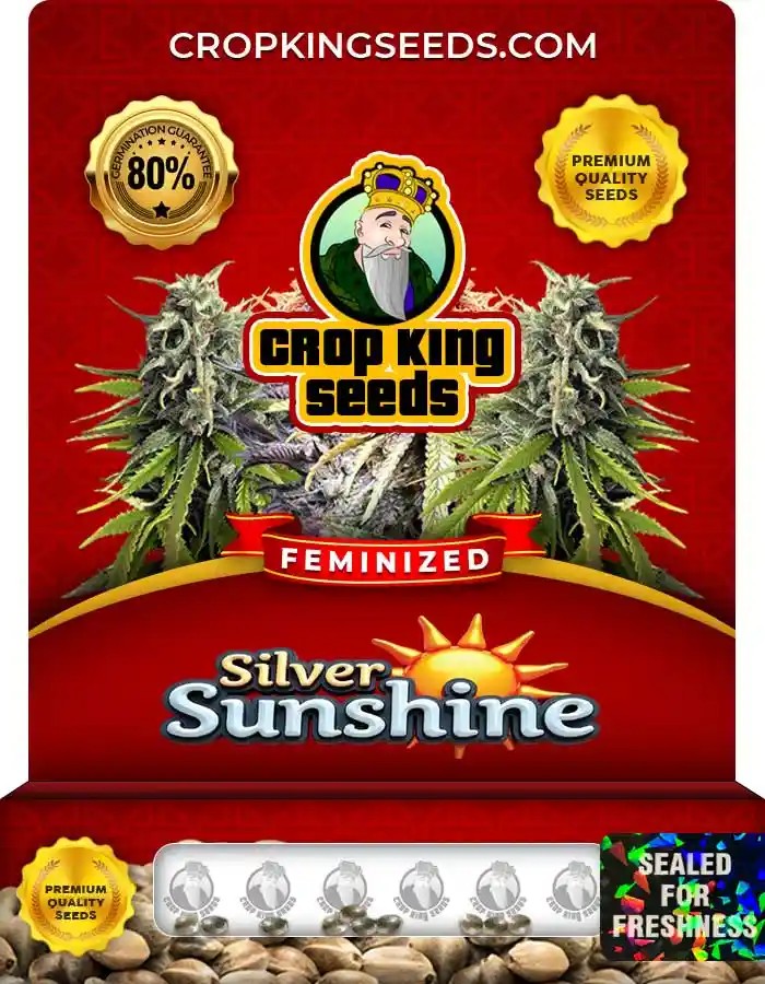 Silver Sunshine Feminized Seeds