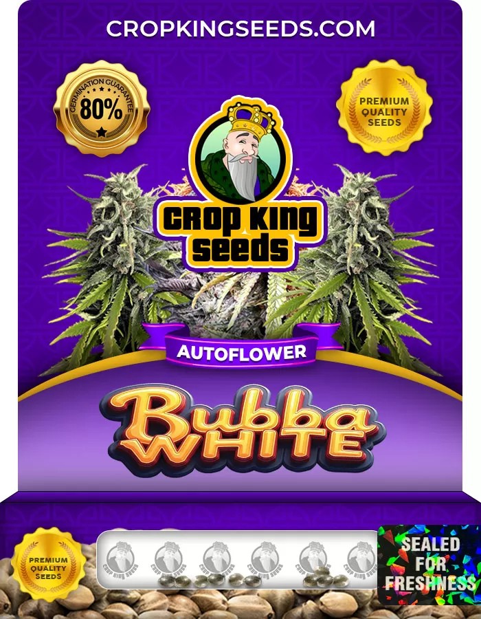 Bubba White Autoflowering Marijuana Seeds